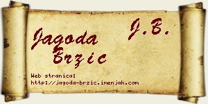 Jagoda Brzić vizit kartica